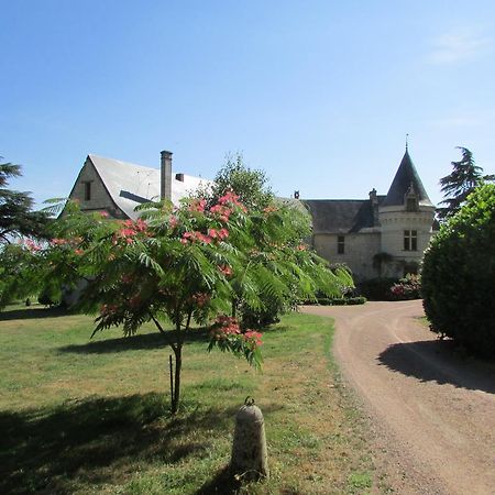 Chateau De La Roche Martel Bed and Breakfast Roiffé Esterno foto