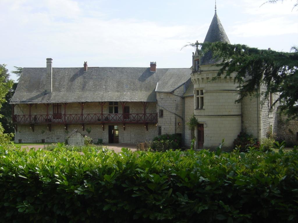 Chateau De La Roche Martel Bed and Breakfast Roiffé Esterno foto