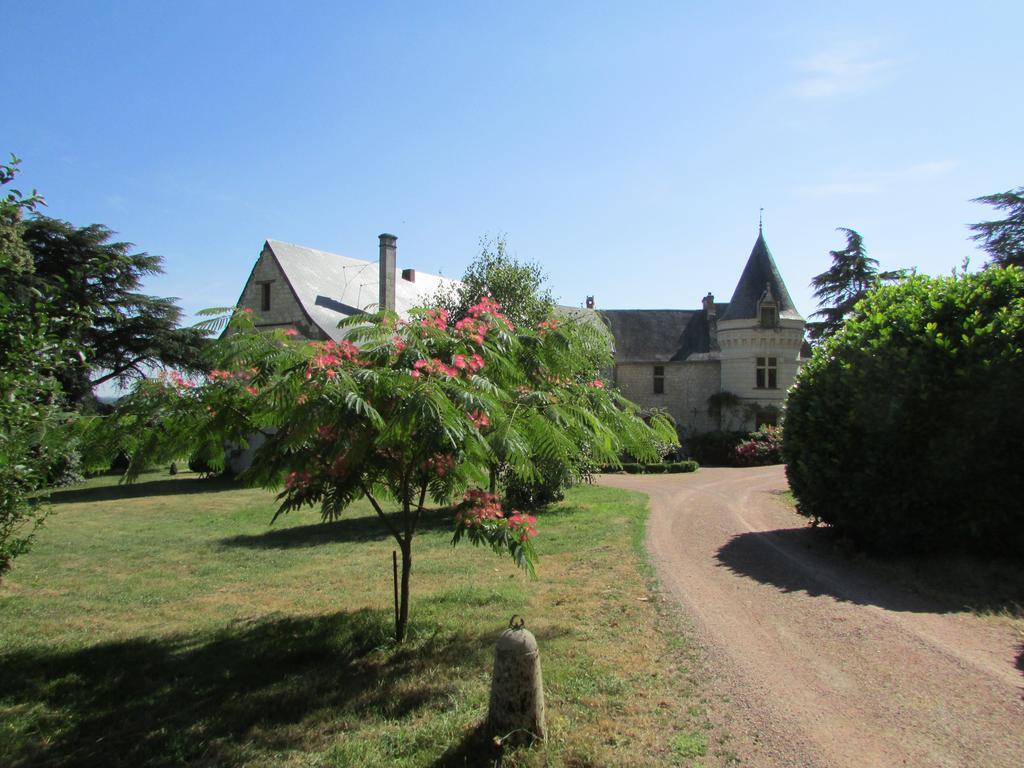 Chateau De La Roche Martel Bed and Breakfast Roiffé Esterno foto