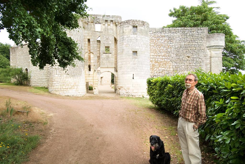 Chateau De La Roche Martel Bed and Breakfast Roiffé Esterno foto